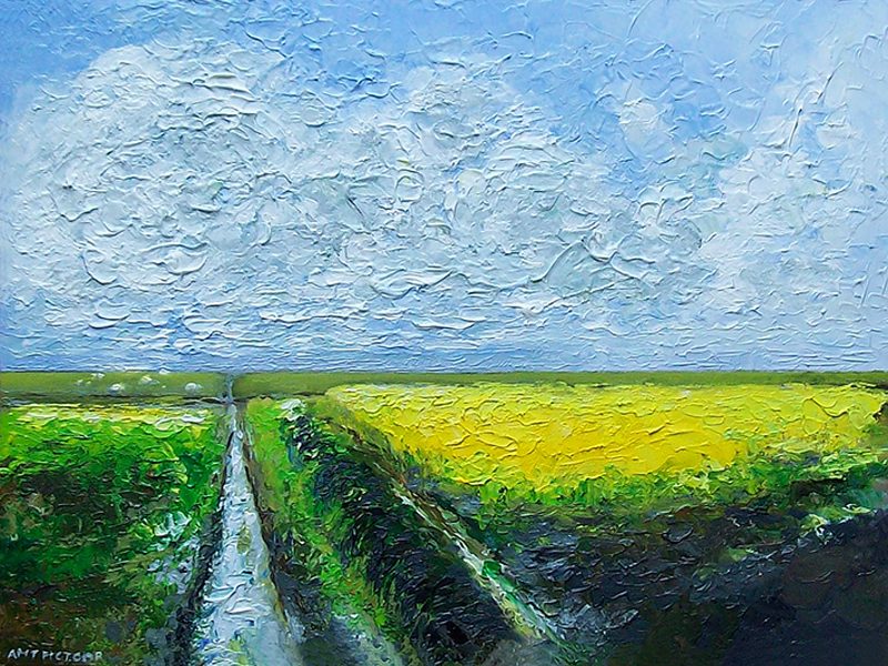 koolzaadveld en dijkcoupure koolzaadveld en dijkcoupure