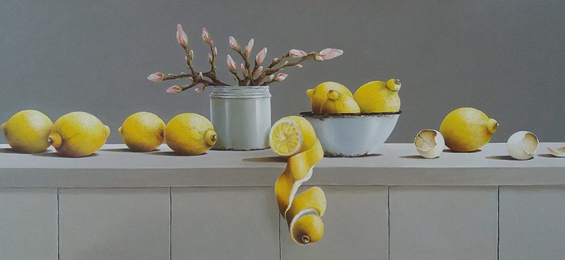 CITROENEN, MAGNOLIATAKKEN EN VERLATEN EITJES CITROENEN, MAGNOLIATAKKEN EN VERLATEN EITJES