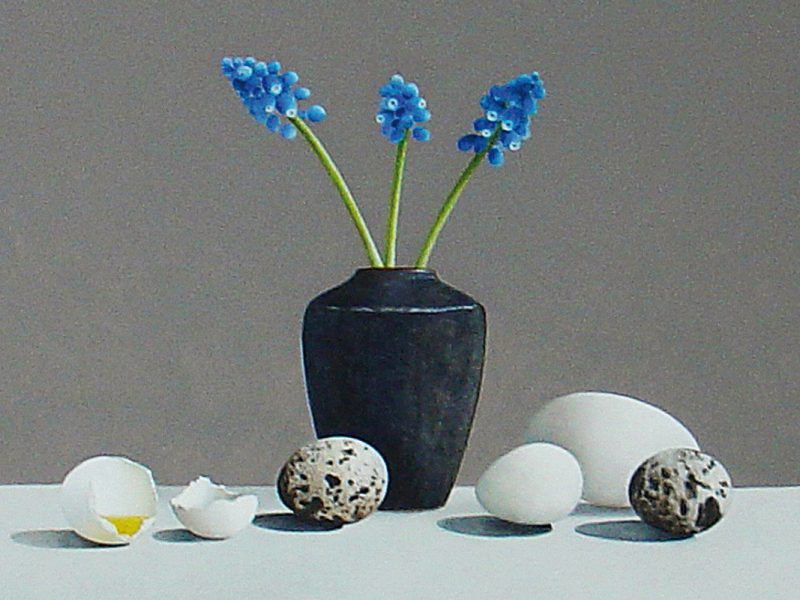 blauwe druifjes blauwe druifjes