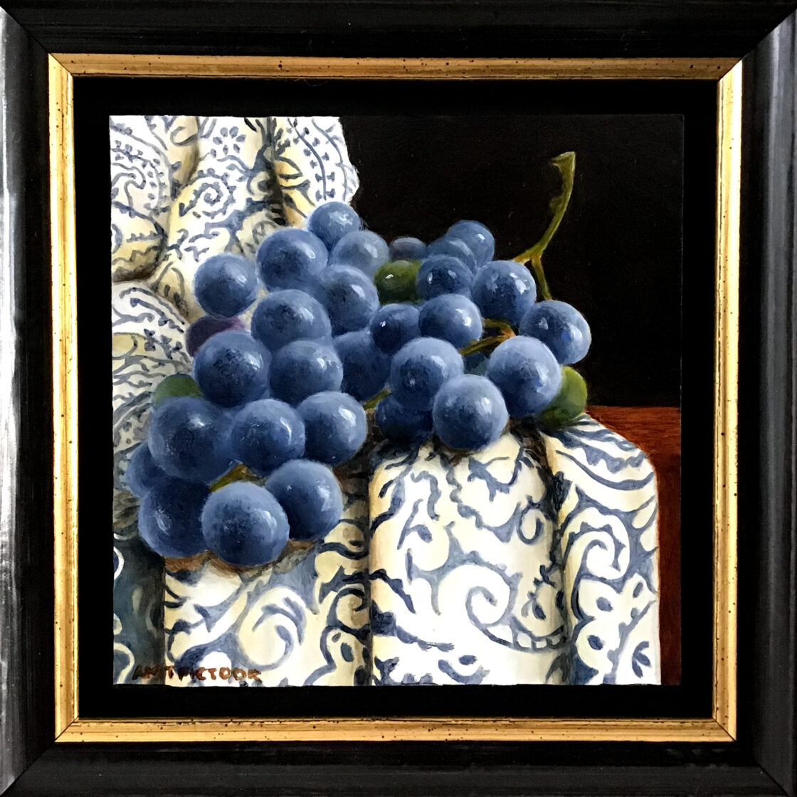 blauwe druiven op oud kleed blauwe druiven op oud kleed