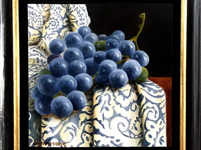 blauwe druiven op oud kleed blauwe druiven op oud kleed