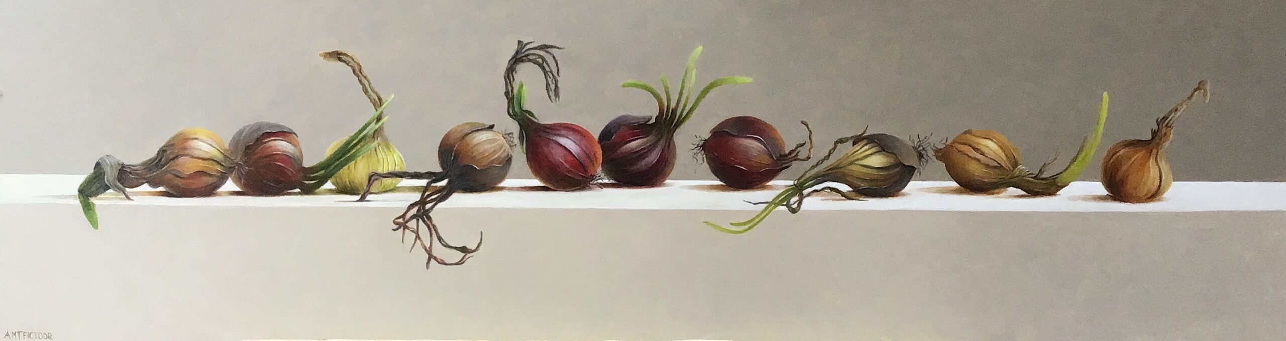 CRAZY ONIONS - ZOTTE UIENPARADE